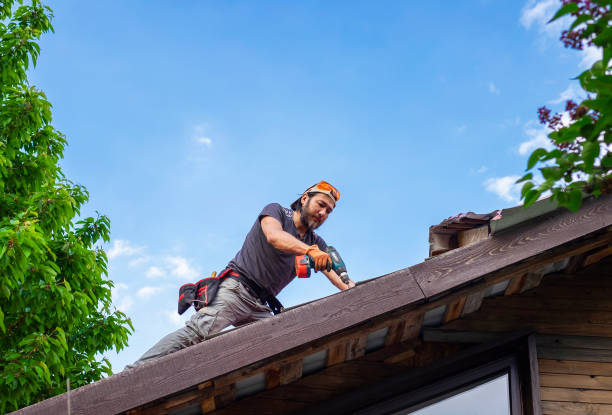 Best Roof Maintenance and Cleaning  in Clarkdale, AZ